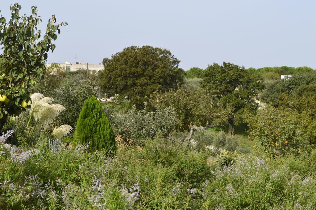 Bed & Breakfast Villa Lavanda 노치 객실 사진